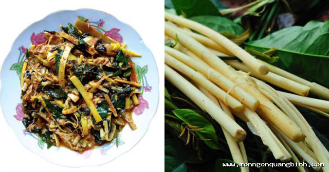 Đọt Mây Quảng Bình – Món Rau Rừng Của Miền Sơn Cước