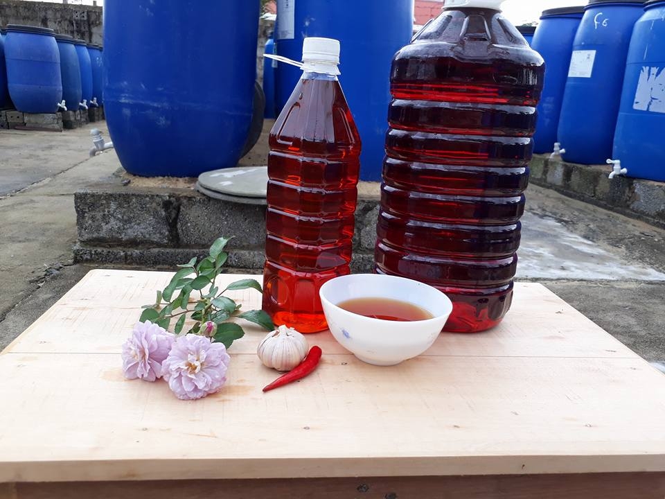 Nước mắm cốt truyền thống Quảng Bình